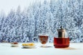 Kettle and two cups of delicious black tea with honey and lemons on winter forest background Royalty Free Stock Photo