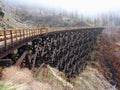 Kettle Valley Railway Trestle Bridge on Myra Canyon near Kelowna, Okanagan Valley, British Columbia, Canada