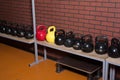 Kettlebells in the gym on a brick wall background Royalty Free Stock Photo