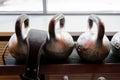 Kettlebells in a rack at the gym. Free weights close up. Royalty Free Stock Photo