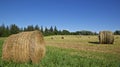 Large round hay bales in the farm field in Ontario, Canda Royalty Free Stock Photo