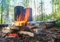 Kettles on fire in wood Royalty Free Stock Photo