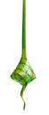 Ketupat Royalty Free Stock Photo