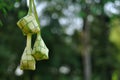 Ketupat on blur background