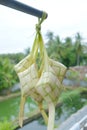 (Ketupat) is a regional specialty during the festive season