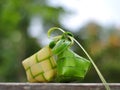 Ketupat rice dumpling on green bokeh background