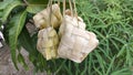 Ketupat which has been boiled