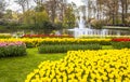 Keukemhof Blooming Gardens Landscape Lisse Holland