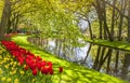 Keukemhof Blooming Gardens Landscape Lisse Holland