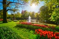 Keukenhof flower garden. Lisse, the Netherlands. Royalty Free Stock Photo