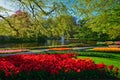 Keukenhof flower garden. Lisse, the Netherlands.