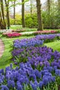 Keukenhof Flower Garden, Lisse, Netherlands