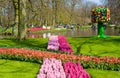 The keukenhof flower garden