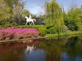 Keukenhof flower power hippie tulips april 2019 Royalty Free Stock Photo