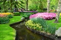 Keukenhof garden, Netherlands -May 10: P.Colorful flowers and blossom in dutch spring garden Keukenhof which is the worlds larges