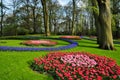 Keukenhof garden. The worlds largest flower gardens, situated in Lisse, Netherlands. Royalty Free Stock Photo