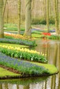 Keukenhof gardens