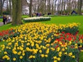 Keukenhof, Holland- april 04, 2007: Many red, yellow, white colorful flowers (tulip, daffodil) in a beautiful flower bed Royalty Free Stock Photo