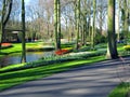 Keukenhof, Holland- april 04, 2007: Many red, yellow, white colorful flowers (tulip, daffodil) in a beautiful flower bed Royalty Free Stock Photo