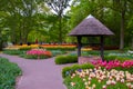 KEUKENHOF HOLLAND - MAI 2014: Colorful pink, red and yellow tulips near well