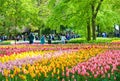 Keukenhof, Lisse, Netherlands - Apr 28th 2019: Amazing bed of flowers with colorful tulips in famous Keukenhof gardens