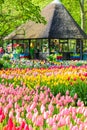 Keukenhof, Lisse, Netherlands - Apr 28th 2019: Amazing Keukenhof gardens with typical colorful tulips. The famous park is a major