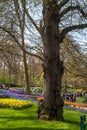 Keukenhof, Lisse, Netherlands - 17 April 2019