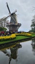 Beautiful spring landscape, famous Keukenhof garden with colorful fresh tulips