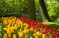 Keukenhof, The Netherlands