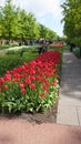 Keukenhof,netherlands,holland;11/05/2019: Stunning spring landscape, famous Keukenhof garden with colorful fresh tulips, Royalty Free Stock Photo