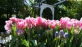 keukenhof,netherlands,holland;11/05/2019: Stunning spring landscape, famous Keukenhof garden with colorful fresh tulips, Royalty Free Stock Photo