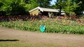 keukenhof,netherlands,holland;11/05/2019: Stunning spring landscape, famous Keukenhof garden with colorful fresh tulips, Royalty Free Stock Photo