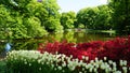 keukenhof,netherlands,holland;11/05/2019: Stunning spring landscape, famous Keukenhof garden with colorful fresh tulips,
