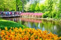 Keukenhof, Netherlands - May, 2018: Tourists and visitors walking throung colorful tulips near the river bank in Keukenhof park in