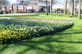 Keukenhof park in Netherlands