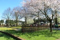 Keukenhof park in Netherlands