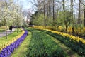 Keukenhof park in Netherlands