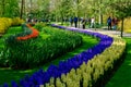 Keukenhof park in Netherlands in spring time , blooming tree