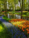 Keukenhof tulips april 2019 Royalty Free Stock Photo