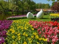 Keukenhof tulips april 2019 Royalty Free Stock Photo