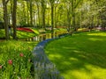 Keukenhof tulips