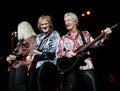 REO Speedwagon performs in concert