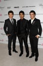 Kevin Jonas,Nick Jonas,Elton John,Joe Jonas Royalty Free Stock Photo
