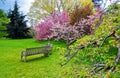 Kew botanical garden in spring, London, United Kingdom