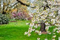 Kew botanical gardens in spring, London, UK