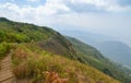 Kew mae pan nature trail at Doi Inthanon national park Royalty Free Stock Photo