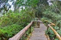 Kew mae pan nature trail at Doi Inthanon national park Royalty Free Stock Photo
