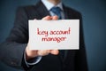 Key account manager