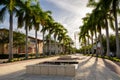 Key Biscayne Miami FL outdoor daytime scene with palm trees