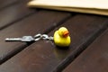 Duck key chain with a key